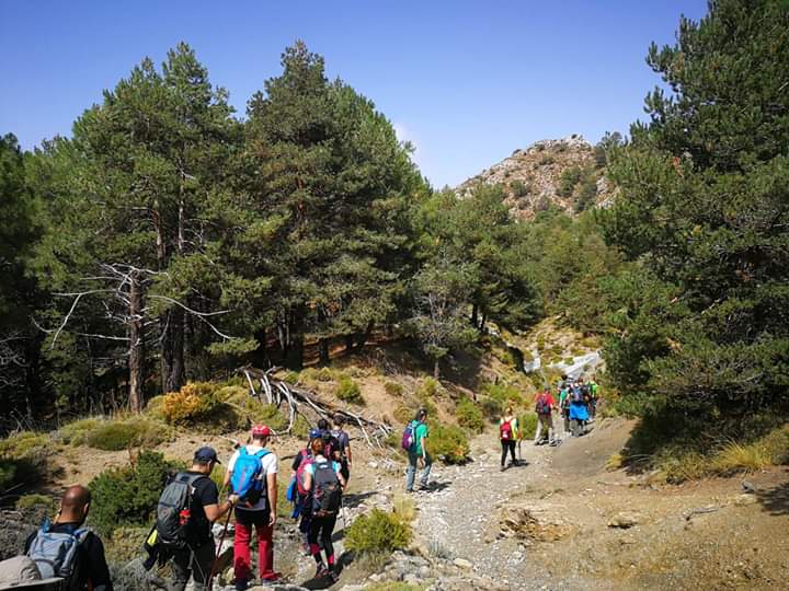 Celebrada la que será más recordada XIII Marcha Popular de resistencia “Trevélez-La Zubia 2019”