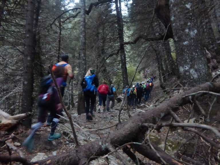 Cerca de 250 participantes se dieron cita en la XXV TR Sierra de Grazalema