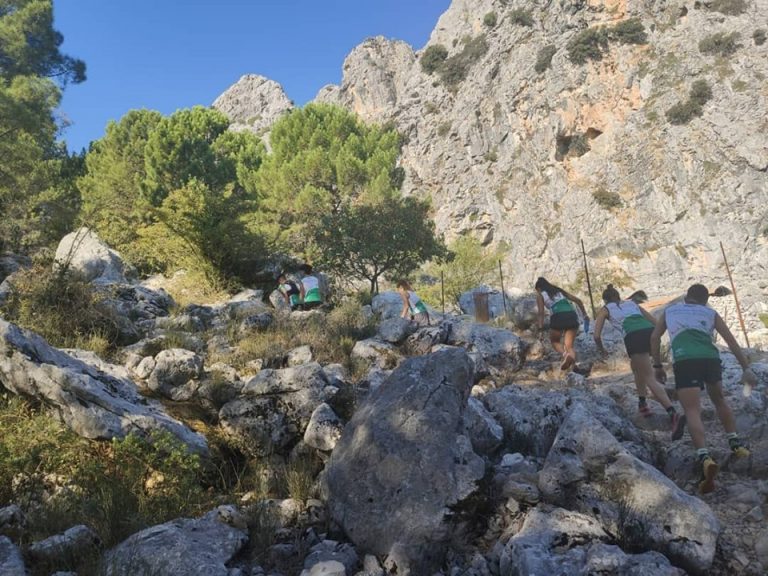 Convocatoria de pruebas de acceso al PTD de Carreras por Montaña 2020 de la FAM