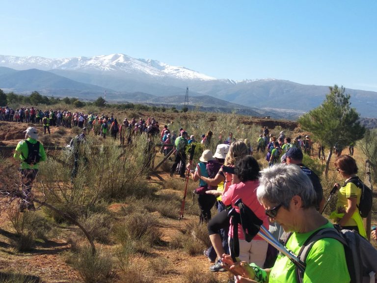 Medio millar de participantes en el IV Día del Montañero Granadino celebrado en Guadix