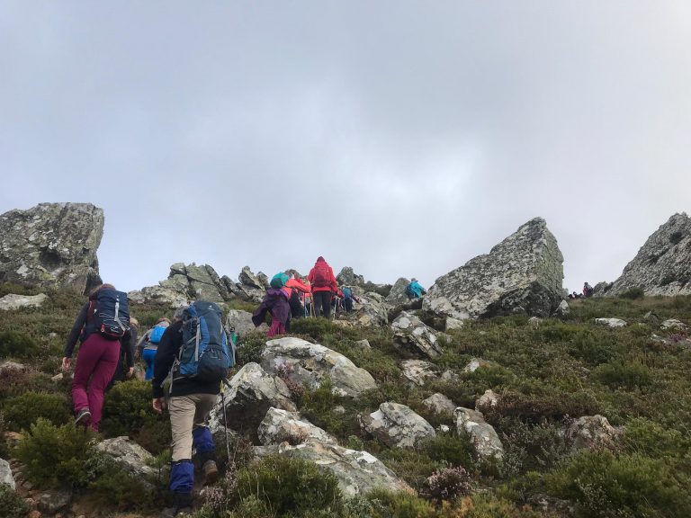La Casa de las Beatas ha albergado el VI Día Andaluz de los Refugios