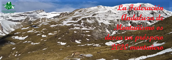 2019 finaliza para la FAM de forma exquisita y meritoria