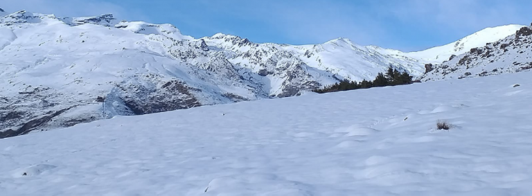 Circular Informativa de Condiciones-RASEMON