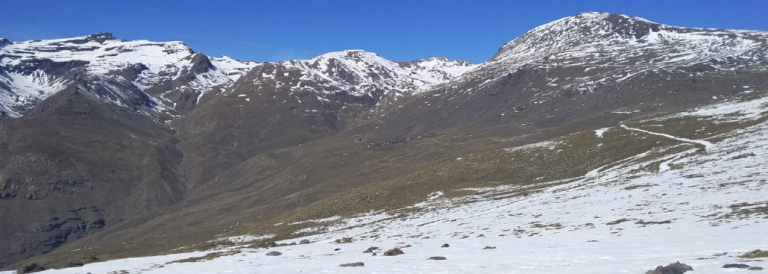 Circular Informativa RASEMON del 20 de febrero de 2020