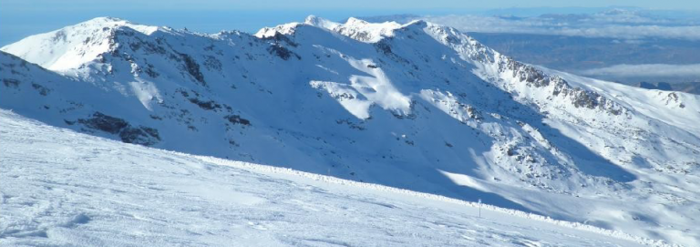 Circular Informativa RASEMON FAM del 7 de febrero de 2020