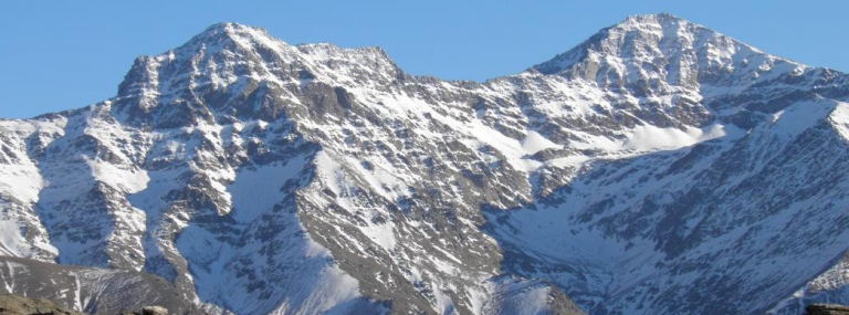 Circular informativa RASEMON del 13 de marzo