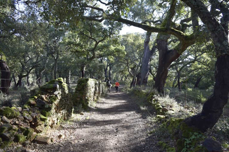 La Junta declara de uso deportivo el Sendero ‘Hornos de la Cal’ en Santa Ana la Real