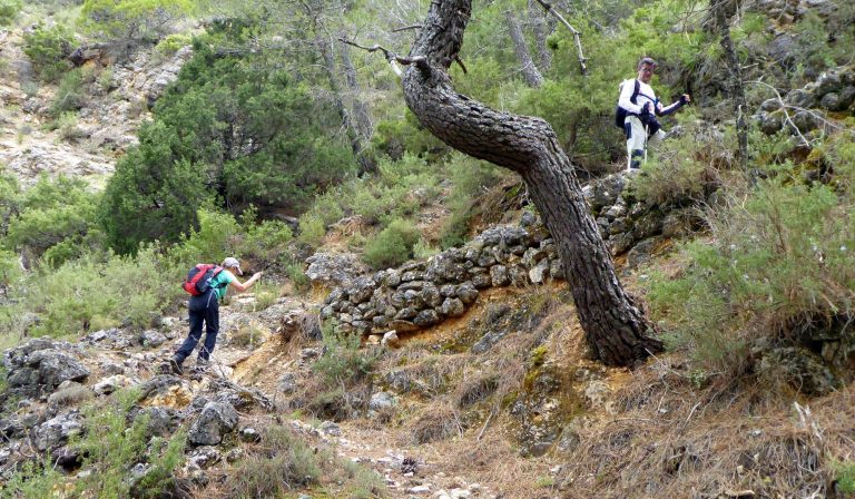 Recomendaciones sobre la vuelta a la práctica deportiva en el medio natural