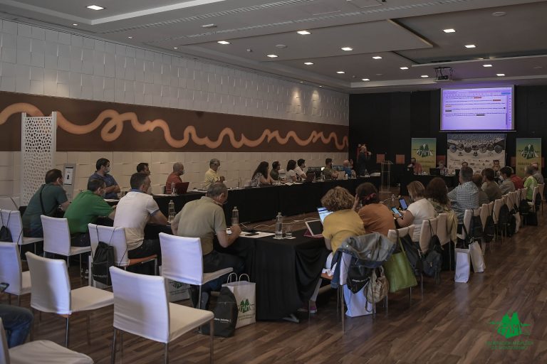 La Asamblea General de 2020 cierra el mandato federativo