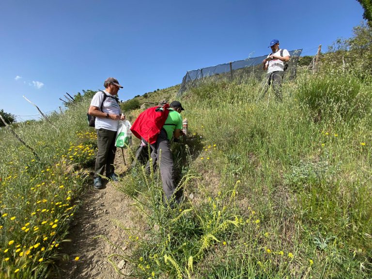 Mantenimiento de GR 7 E 4 “Sierras Mediterráneas”  en GRANADA