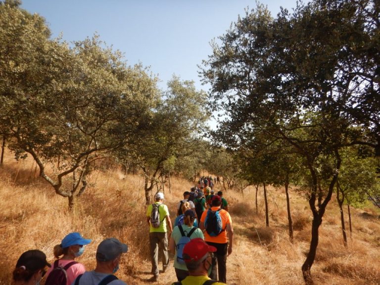 Alrededor de un centenar de participantes en la ruta del Sendero El Pedroso-Estaciones del Huéznar de Sevilla