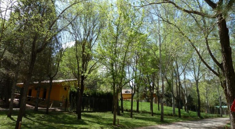 Manifiesto de apoyo de la FAM al Medio Rural y de Montaña de Andalucía