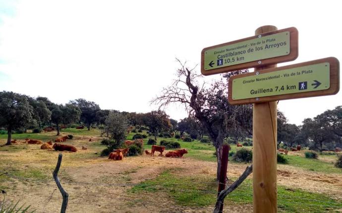 La Ruta ‘Sendero Castilblanco de los Arroyos-Guillena del Programa Provincial de Sevilla se celebra este próximo domingo