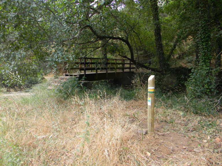 Homologado el PR-A 375 ‘Risco Levante-Los Chorros’ en Santa Ana la Real