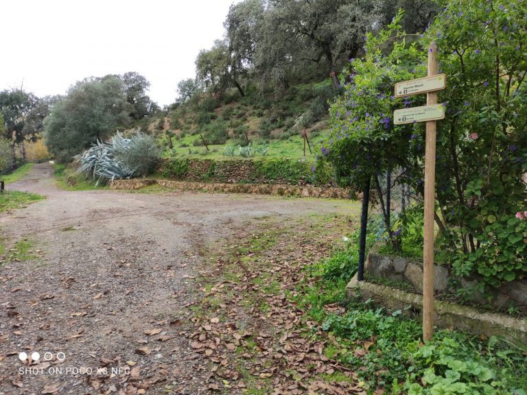 Concluidas las labores de mantenimiento del PR-A 41 ‘Higuera de la Sierra-Puerto Moral’ en la provincia de Huelva