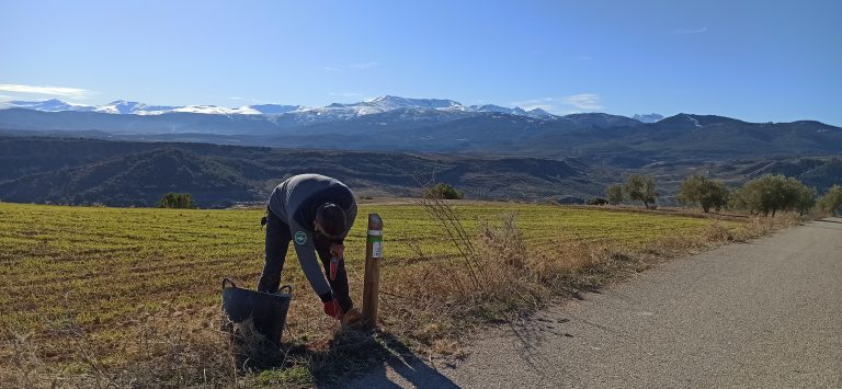 Actuaciones de conservación y mantenimiento de la ‘Red de Senderos de Diezma’