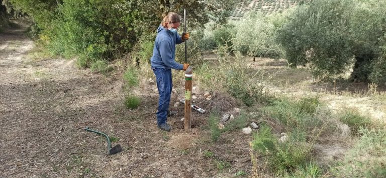 Finalizadas las labores de mantenimiento de la Red de Senderos de Carcabuey