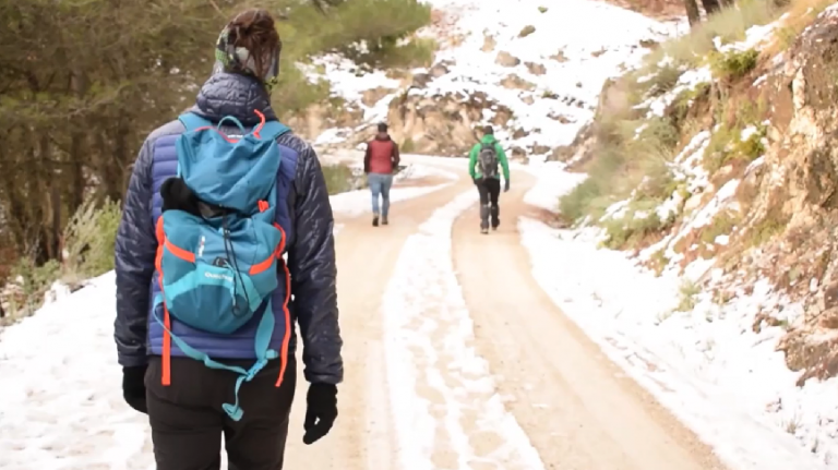 Video Promocional del IAD sobre las Enseñanzas Deportivas de Régimen Especial e información general