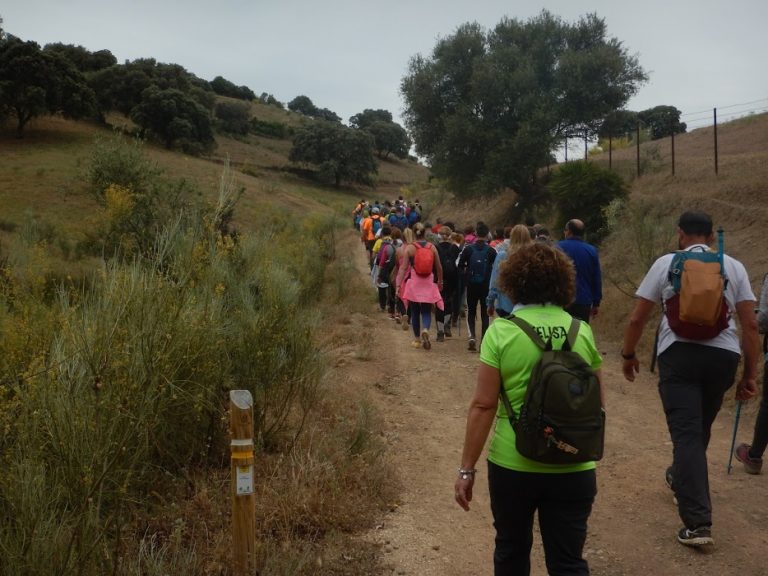 El Sendero La Gila-Peñaguas del Programa de Senderos de Sevilla reúne a 125 senderistas