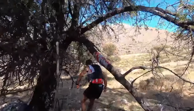 Juanmi Chacón y Alicia Virués vencen la Ultra Mágina Trail