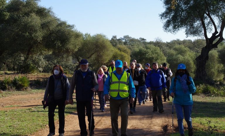 Un centenar y medio de participantes disfrutan del VII Encuentro de Senderistas Veteranos y Veteranas de Sevilla en Penaflor