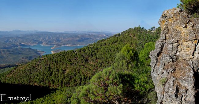 ALERTAS DE SEGURIDAD para las provincias de Córdoba y Sevilla