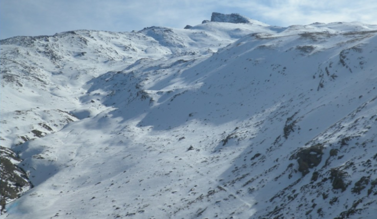Circular RASEMON y Ficha de Seguridad PPNN Sierra Nevada