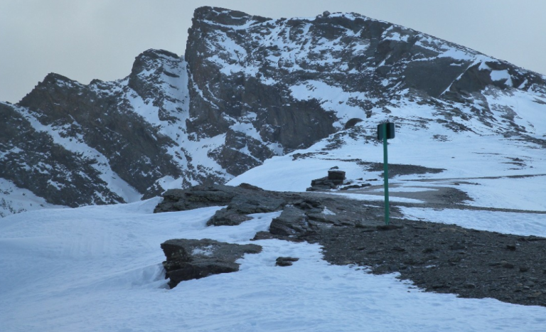 Circular RASEMON y Ficha de Seguridad PPNN Sierra Nevada últimos días enero 2022