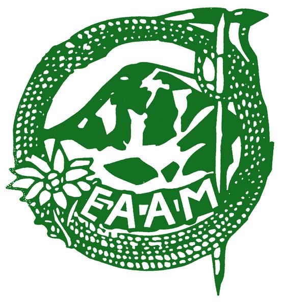 Publicación del Calendario de Formación Federativa para el primer semestre de 2022