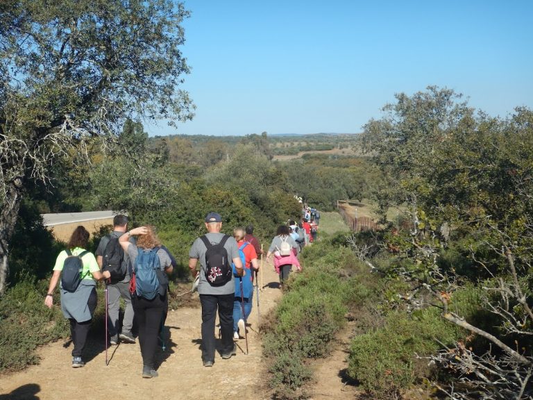 Unos 200 senderistas disfrutaron de la ruta Los Molinos del Ciudadeja del Programa de Senderos de Sevilla 2022
