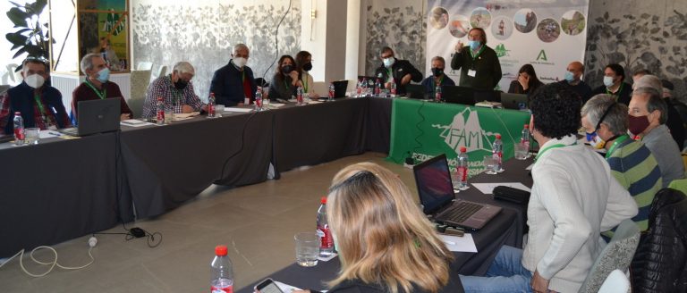 Aprobado el decreto que regula las entidades deportivas, clubes y federaciones de Andalucía