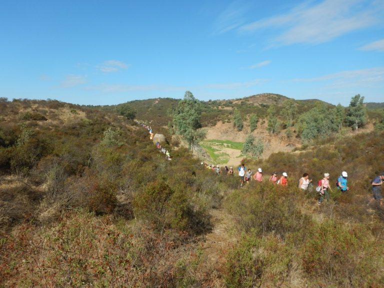 El Programa de Senderos de Sevilla retoma su actividad con 220 participantes en la ruta ‘La Zarcita’ de Aznalcóllar