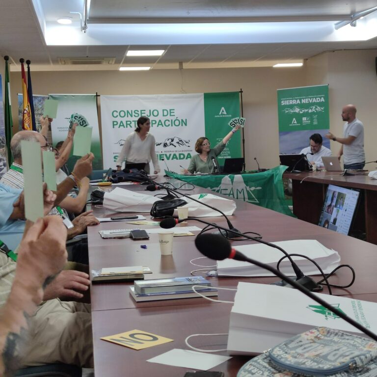 La Asamblea General de la FADMES aprueba los presupuestos y el proyecto deportivo 2024