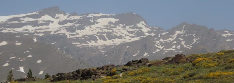 Grandes ventisqueros a partir de 2.800 metros de forma discontinua en Sierra Nevada, mientras la nieve está más alta en la cara sur