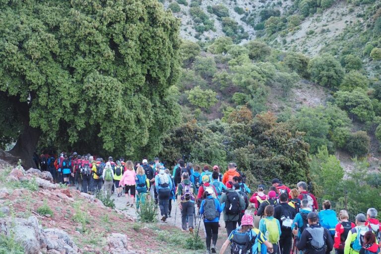 La TR Sierra Sur de Jaén-Alcalá la Real cumplió con todas las expectativas generadas