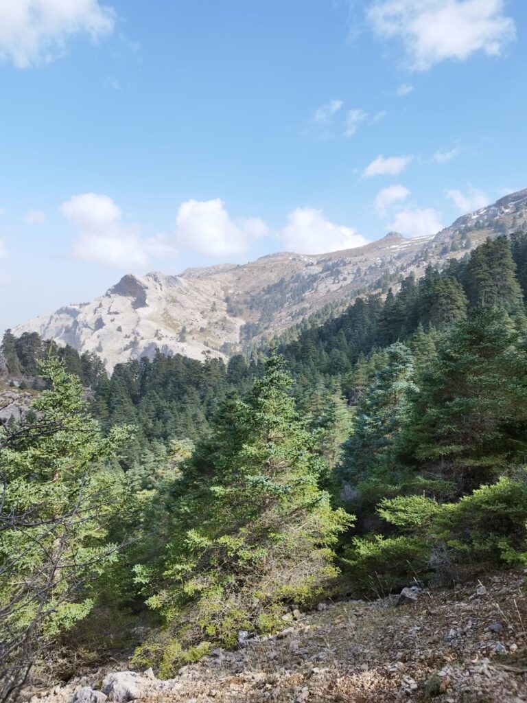 Día Mundial del Medio Ambiente, la restauración de la tierra, la desertificación y la resistencia a la sequía