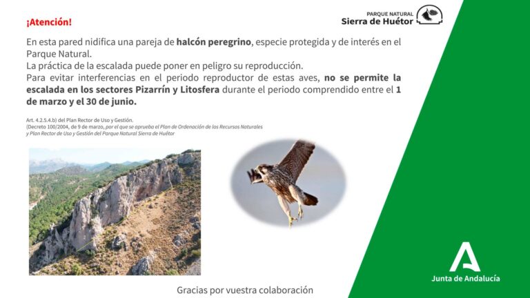 La escalada en los sectores Pizarrín y Litosfera en la zona del Puerto de Alfacar no está permitida hasta el 30 de junio
