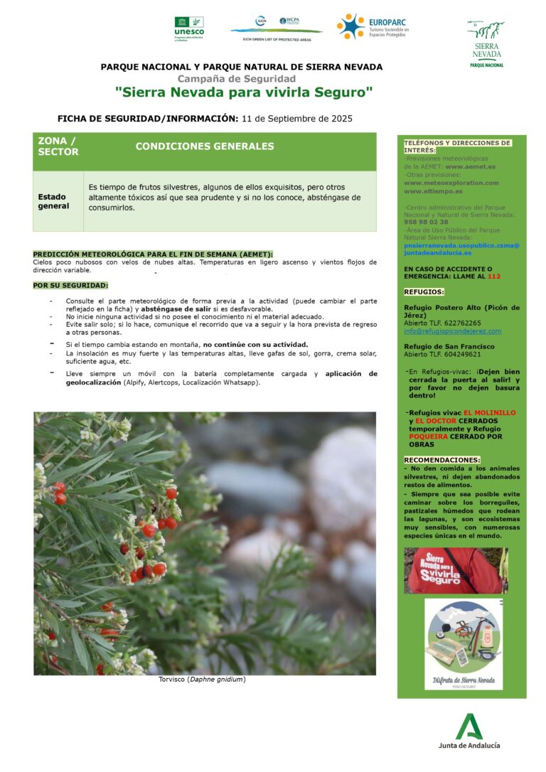 Prudencia a la hora de recoger algunos frutos silvestres por ser altamente tóxicos