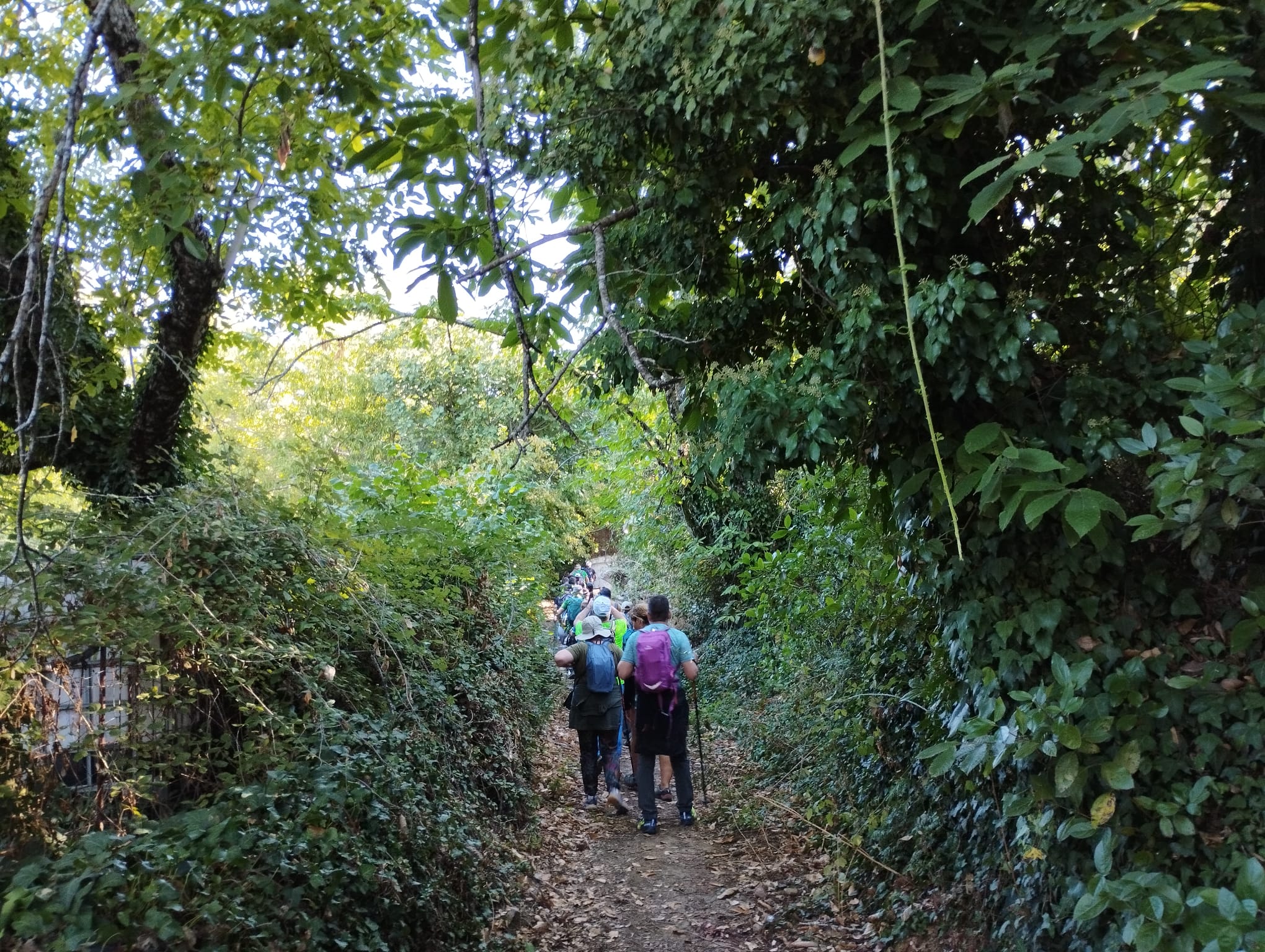 054da991-69f0-48a4-a91a-e22aed0b0c6c