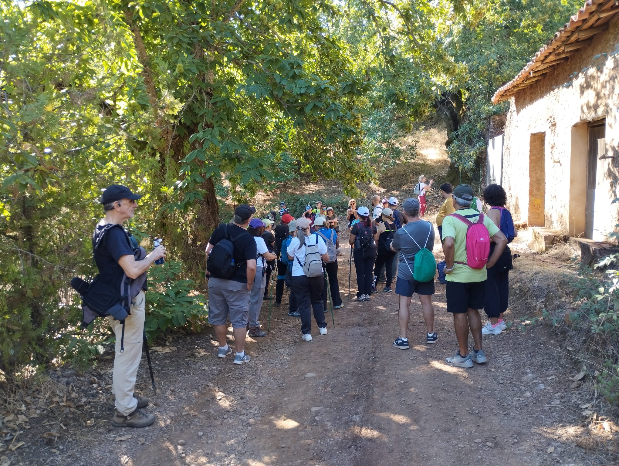 4b958f96-2cfa-4f23-8b64-e37480a4ecfe