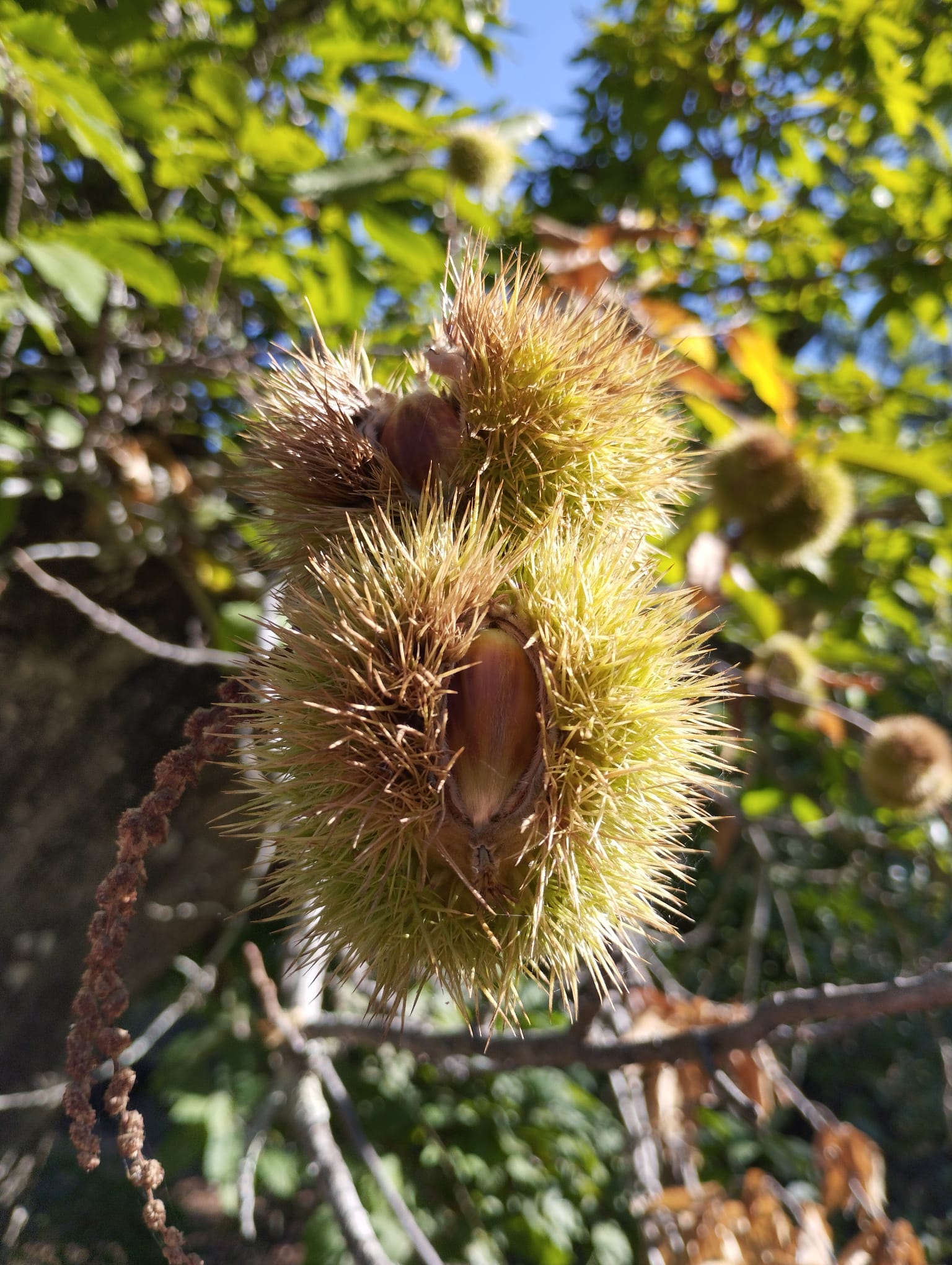 7fa4d568-5e6a-40c3-8b96-0d986d34a36a