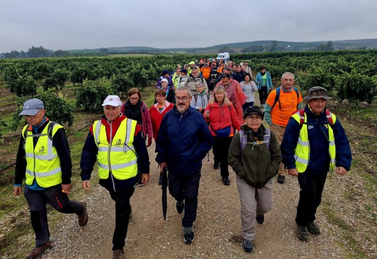El XVII Encuentro Andaluz de Montañeros Veteranos de Palma del Río consolida este evento en Andalucía a través de la FADMES         