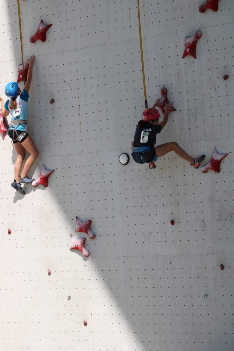 Fase Final del Campeonato de Andalucía de Escalada en Edad Escolar Combinada y Velocidad Individual y por Selecciones Provinciales
